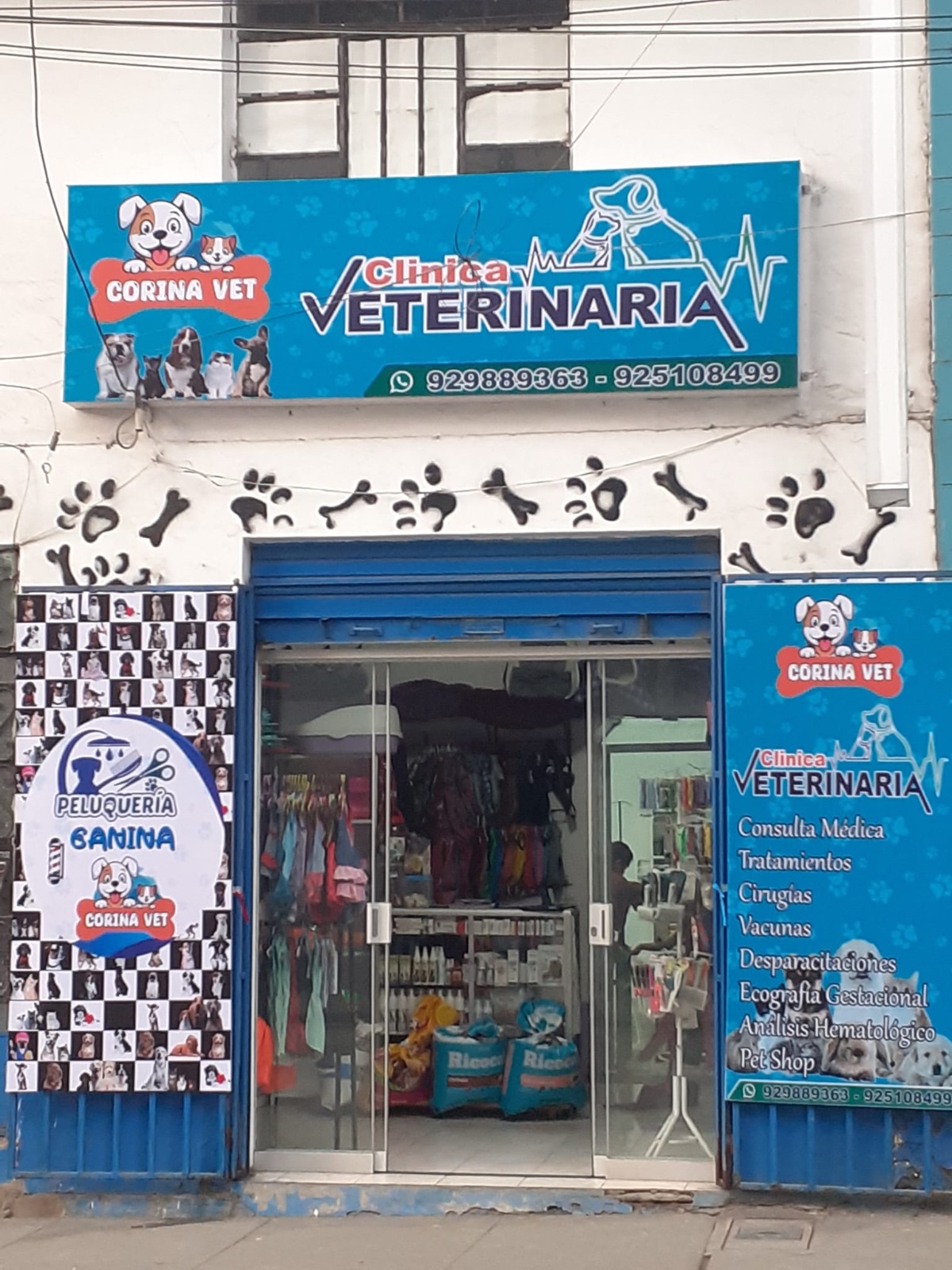 Veterinario con perro